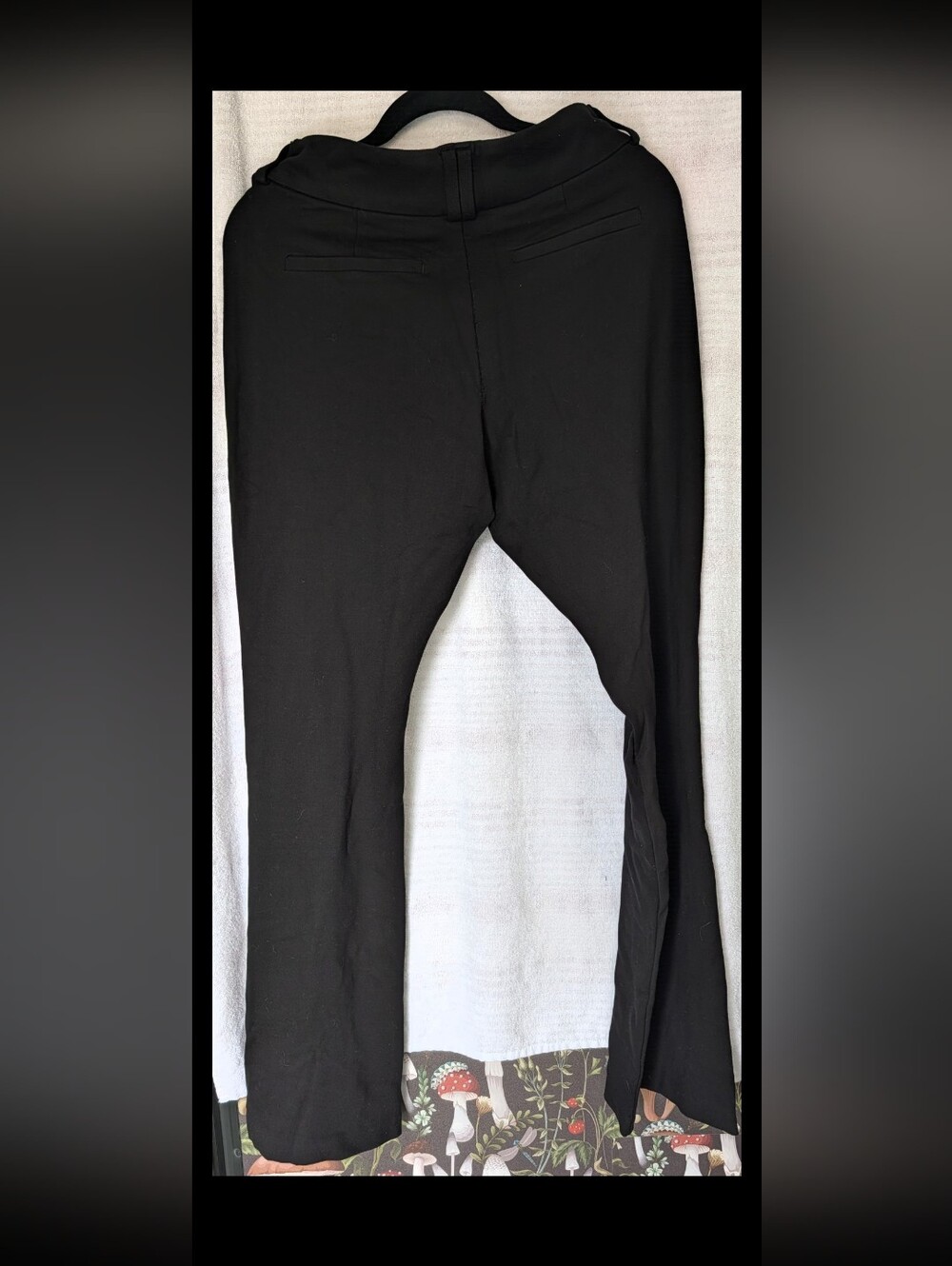 Women's Studio By Torrid 10XT Straight Leg